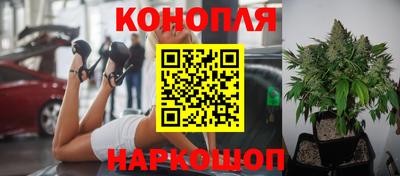 тгк Шахты