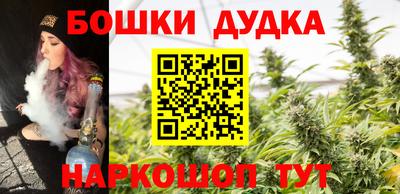 гидра Шелехов
