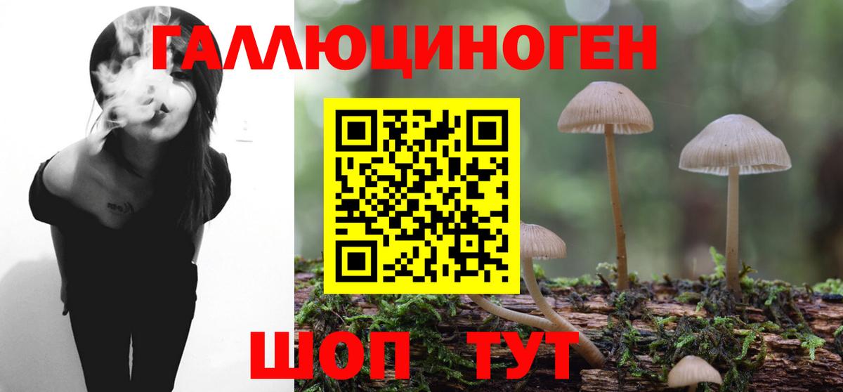 Богданович  Галлюциногенные грибы мухоморы  Псилоцибиновые грибы MAGIC MUSHROOMS  Вход с VPN 